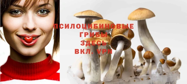 соль ск Верхний Тагил