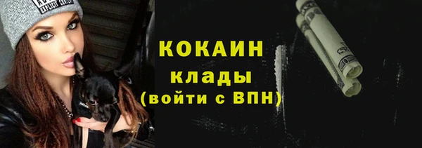 spice Верея