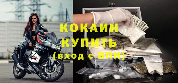 стафф Бородино