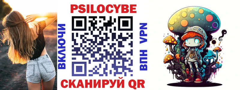 Галлюциногенные грибы Psilocybe Ишим